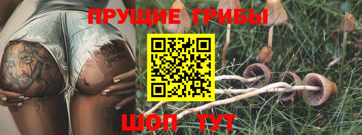 Галлюциногенные грибы Magic Shrooms Богородицк